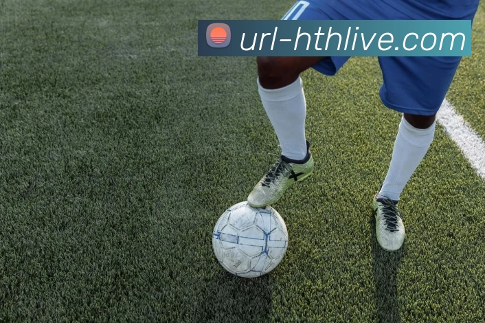 对战数据统计