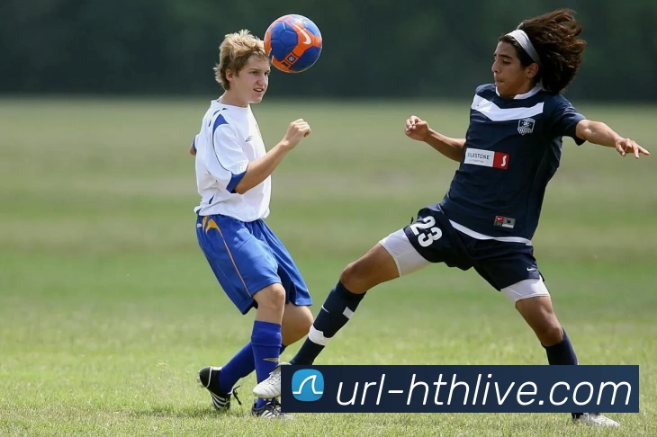 多媒体互动体验