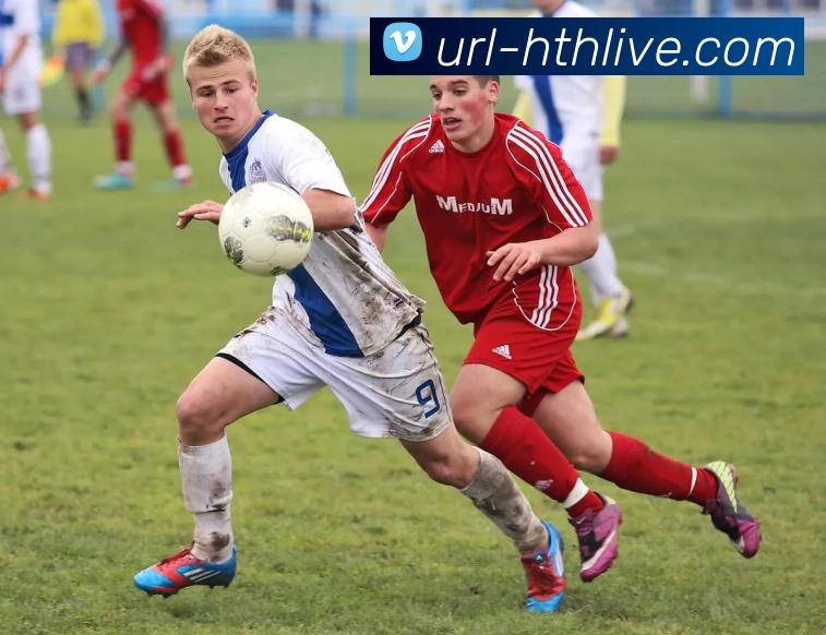 华体会APP 体育赛事宣传图